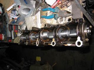 Resize_of_IMG_1075.JPG