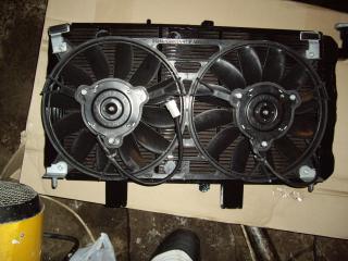 IMGP1269.JPG