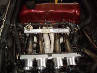 IMGP1065.JPG